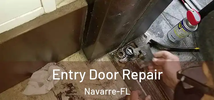  Entry Door Repair Navarre-FL