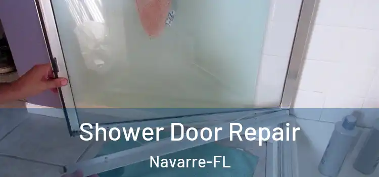  Shower Door Repair Navarre-FL